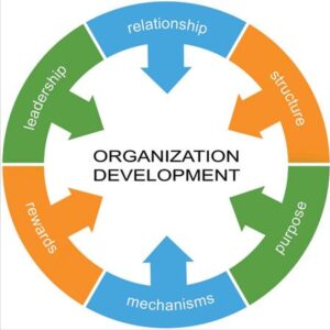 Organization Development Strategy